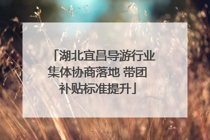 湖北宜昌导游行业集体协商落地 带团补贴标准提升