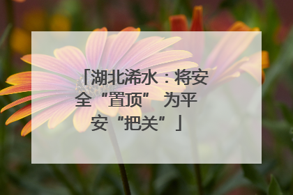 湖北浠水：将安全“置顶” 为平安“把关”