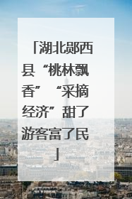 湖北郧西县“桃林飘香”“采摘经济”甜了游客富了民