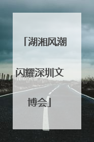 湖湘风潮闪耀深圳文博会