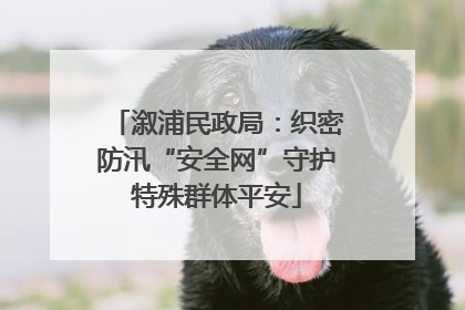 溆浦民政局：织密防汛“安全网”守护特殊群体平安