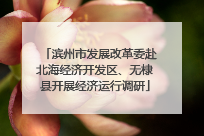 滨州市发展改革委赴北海经济开发区、无棣县开展经济运行调研