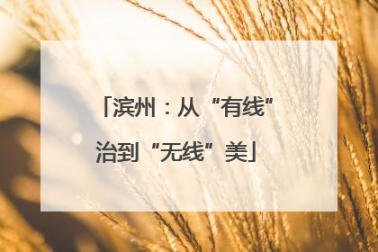 滨州：从“有线”治到“无线”美