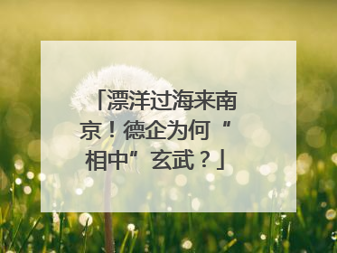 漂洋过海来南京！德企为何“相中”玄武？