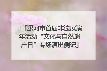 漯河市首届非遗展演年活动“文化与自然遗产日”专场演出侧记