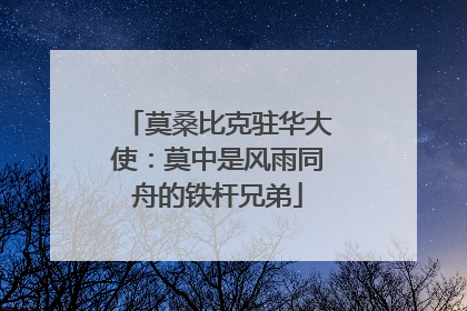 莫桑比克驻华大使：莫中是风雨同舟的铁杆兄弟