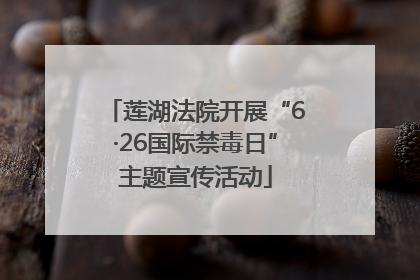 莲湖法院开展“6·26国际禁毒日”主题宣传活动