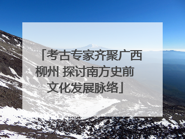 考古专家齐聚广西柳州 探讨南方史前文化发展脉络
