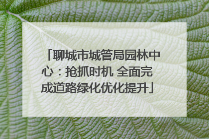聊城市城管局园林中心：抢抓时机 全面完成道路绿化优化提升