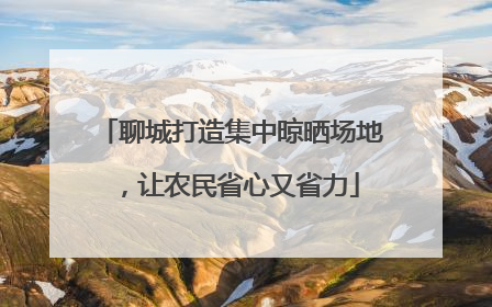聊城打造集中晾晒场地，让农民省心又省力