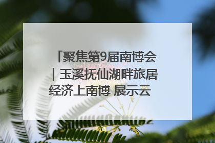 聚焦第9届南博会｜玉溪抚仙湖畔旅居经济上南博 展示云南生活新样本