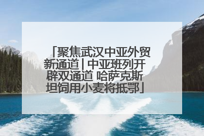 聚焦武汉中亚外贸新通道│中亚班列开辟双通道 哈萨克斯坦饲用小麦将抵鄂