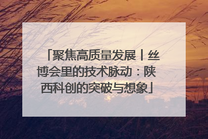 聚焦高质量发展丨丝博会里的技术脉动：陕西科创的突破与想象