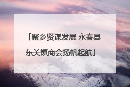 聚乡贤谋发展 永春县东关镇商会扬帆起航
