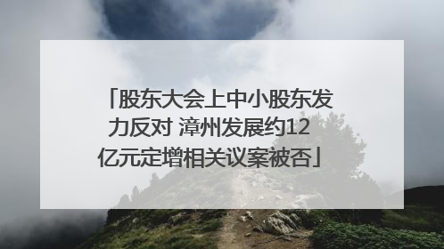 股东大会上中小股东发力反对 漳州发展约12亿元定增相关议案被否