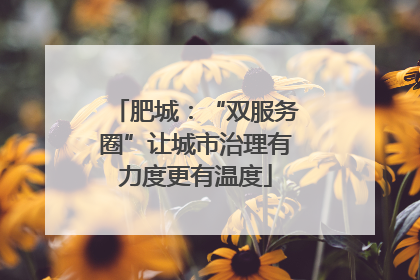 肥城：“双服务圈”让城市治理有力度更有温度