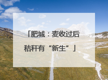 肥城：麦收过后秸秆有“新生”