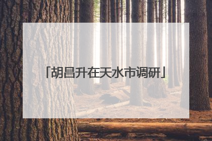 胡昌升在天水市调研