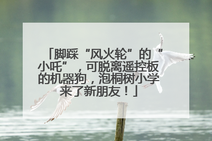 脚踩“风火轮”的“小吒”，可脱离遥控板的机器狗，泡桐树小学来了新朋友！