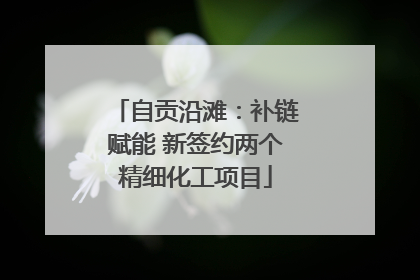 自贡沿滩：补链赋能 新签约两个精细化工项目