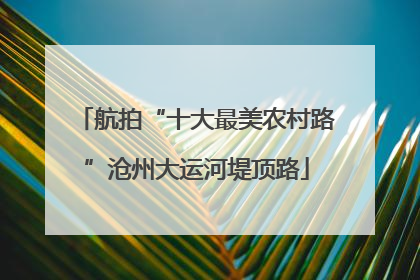 航拍“十大最美农村路”沧州大运河堤顶路