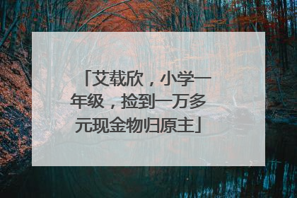 艾载欣，小学一年级，捡到一万多元现金物归原主