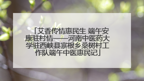 艾香传情惠民生 端午安康驻村情——河南中医药大学驻西峡县寨根乡桑树村工作队端午中医惠民记