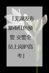 芜湖发布暴雨红色预警 交警全员上岗护高考