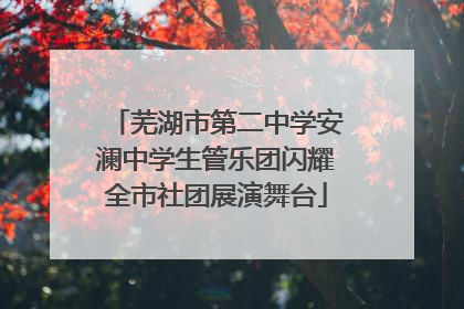 芜湖市第二中学安澜中学生管乐团闪耀全市社团展演舞台