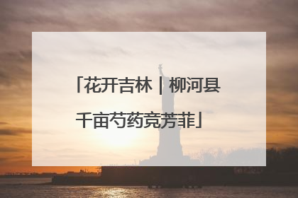 花开吉林｜柳河县千亩芍药竞芳菲