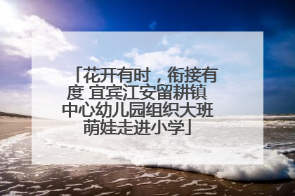 花开有时，衔接有度 宜宾江安留耕镇中心幼儿园组织大班萌娃走进小学