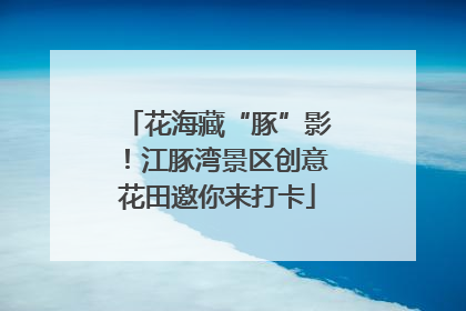 花海藏“豚”影！江豚湾景区创意花田邀你来打卡