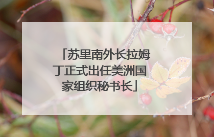 苏里南外长拉姆丁正式出任美洲国家组织秘书长