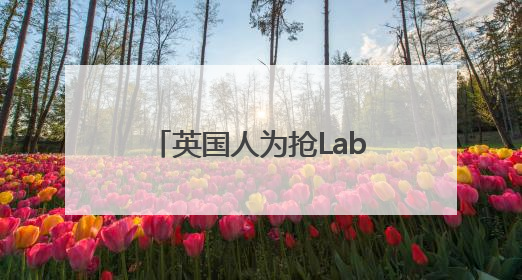 英国人为抢Labubu大打出手！