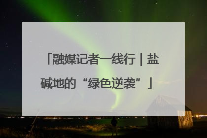 融媒记者一线行｜盐碱地的“绿色逆袭”