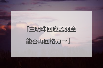 董明珠回应孟羽童能否再回格力→