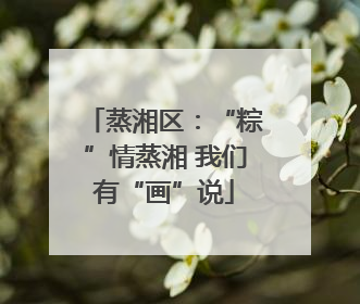 蒸湘区：“粽”情蒸湘 我们有“画”说