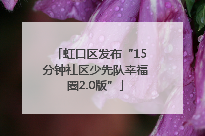 虹口区发布“15分钟社区少先队幸福圈2.0版”