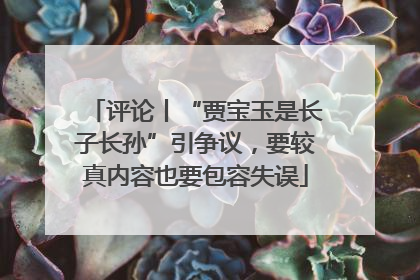 评论丨“贾宝玉是长子长孙”引争议，要较真内容也要包容失误