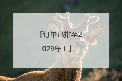 订单已排至2029年！