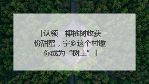认领一棵桃树收获一份甜蜜，宁乡这个村邀你成为“树主”