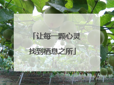 让每一颗心灵找到栖息之所