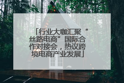 行业大咖汇聚“丝路电商”国际合作对接会，热议跨境电商产业发展
