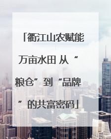 衢江山农赋能万亩水田 从“粮仓”到“品牌”的共富密码