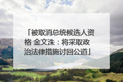 被取消总统候选人资格 金文洙：将采取政治法律措施讨回公道