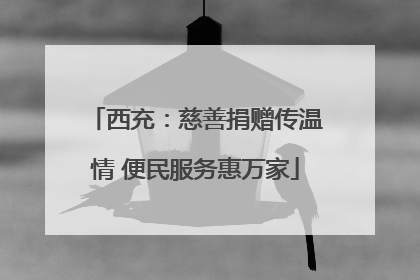 西充：慈善捐赠传温情 便民服务惠万家