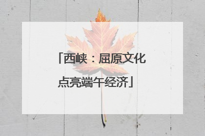 西峡：屈原文化点亮端午经济