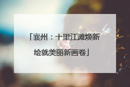 襄州：十里江滩焕新 绘就美丽新画卷