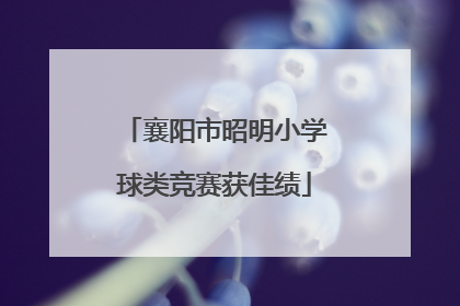 襄阳市昭明小学球类竞赛获佳绩