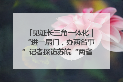 见证长三角一体化｜“进一扇门，办两省事”记者探访苏皖“两省一街”警务室